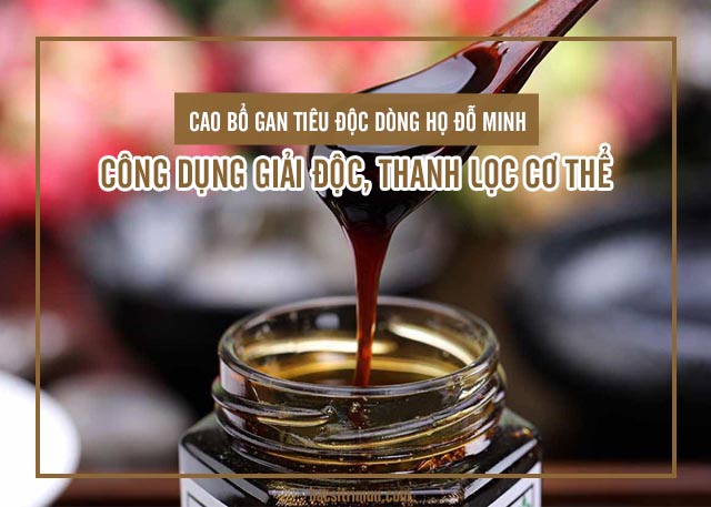 Phân tích công dụng giải độc, thanh lọc cơ thể