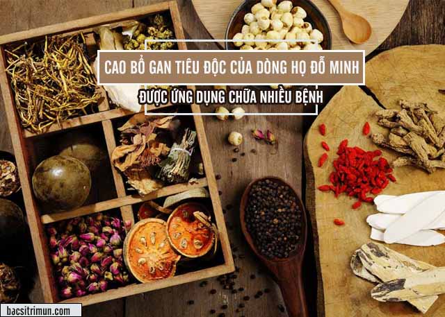 Phân tích công dụng giải độc, thanh lọc cơ thể của cao bổ gan tiêu độc dòng họ đỗ minh