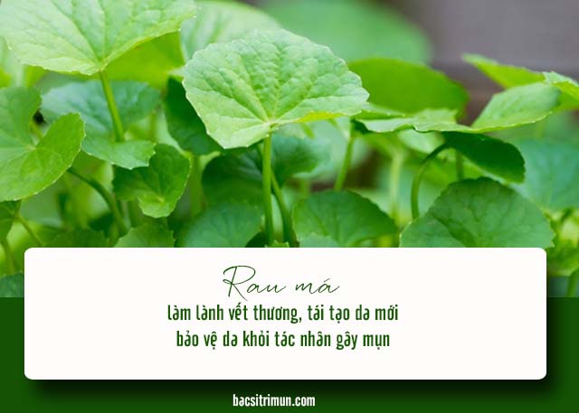 cách trị mụn khi mang thai bằng rau má