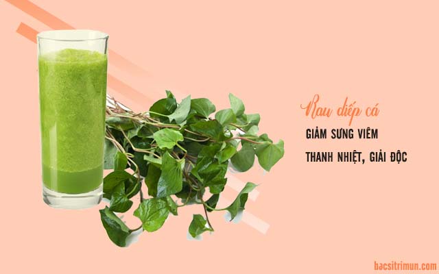 rau diếp cá thuốc trị mụn từ thiên nhiên