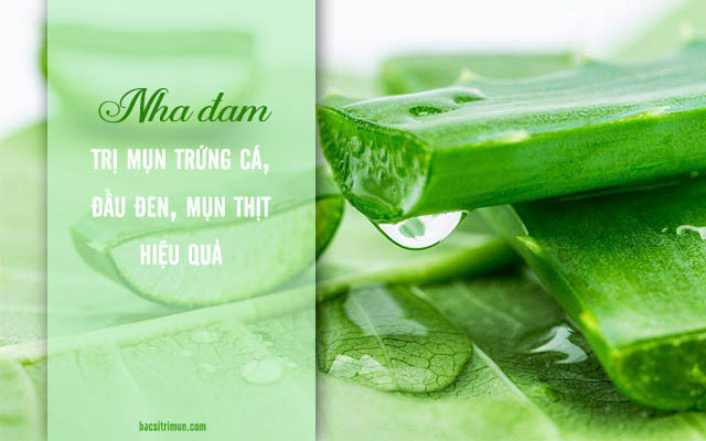 trị mụn bằng nha đam