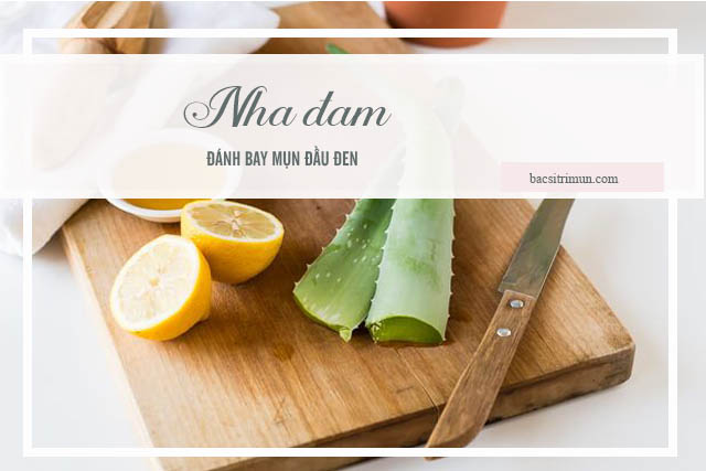 trị mụn đầu đen bằng nha đam