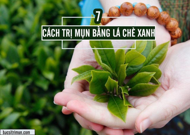 Cách trị mụn bằng lá chè xanh