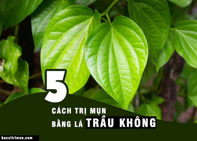 Cách trị mụn bằng lá trầu không