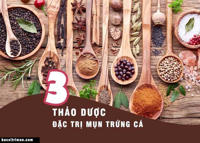 thảo dược đặc trị mụn trứng cá