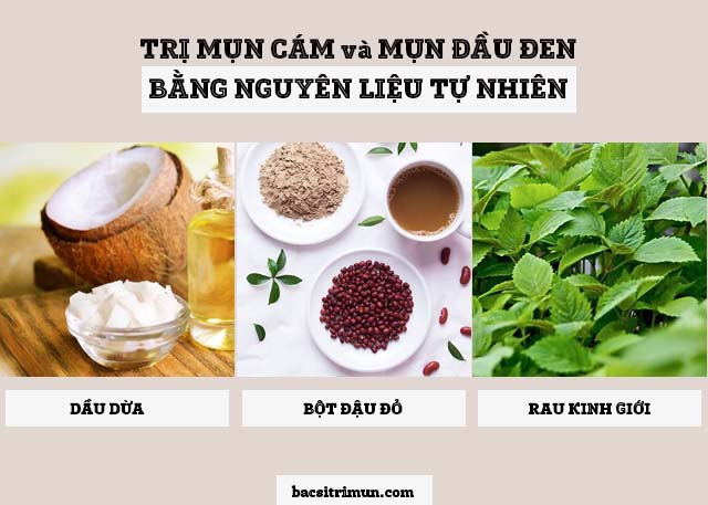 trị mụn cám và mụn đầu đen bằng dầu dừa, bột đậu đỏ và rau kinh giới