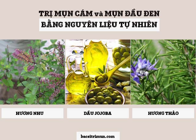 cách trị mụn cám và mụn đầu đen bằng hương nhu, hương thảo và dầu jojoba