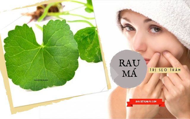 rau má trị sẹo thâm