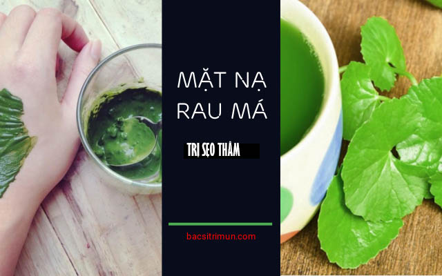 trị sẹo thâm ở chân lâu năm bằng rau má
