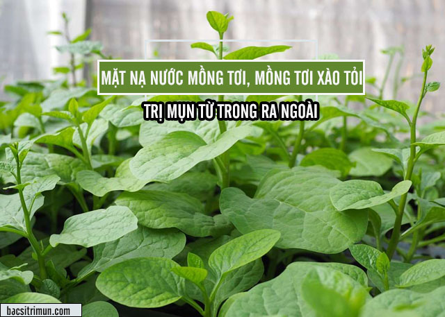 các cách trị mụn trứng cá bằng mồng tơi