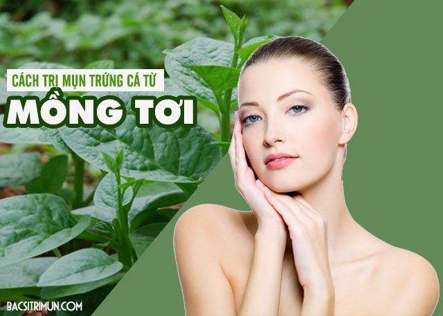 cách trị mụn trứng cá bằng mồng tơi