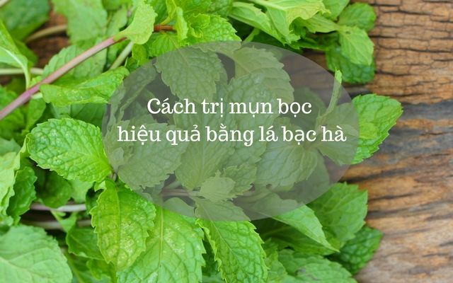 Cách trị mụn bọc tại nhà bằng lá bạc hà