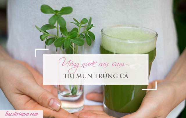 Uống nước rau sam trị mụn trứng cá 