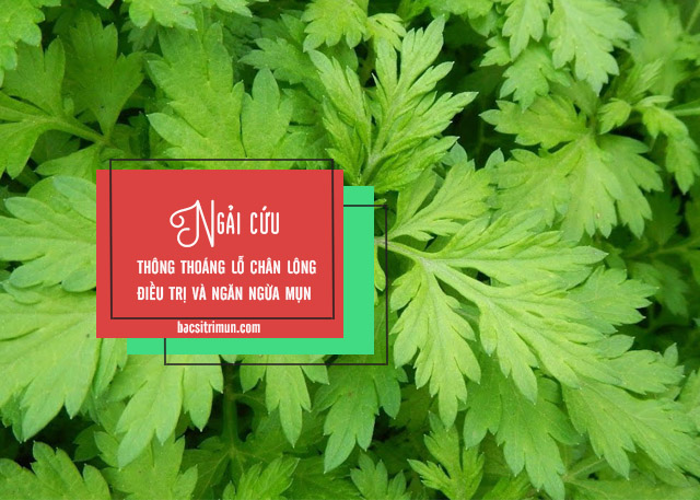 xông hơi trị mụn đầu đen bằng ngải cứu